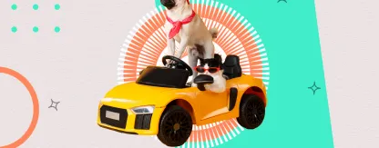 Превью статьи блога.