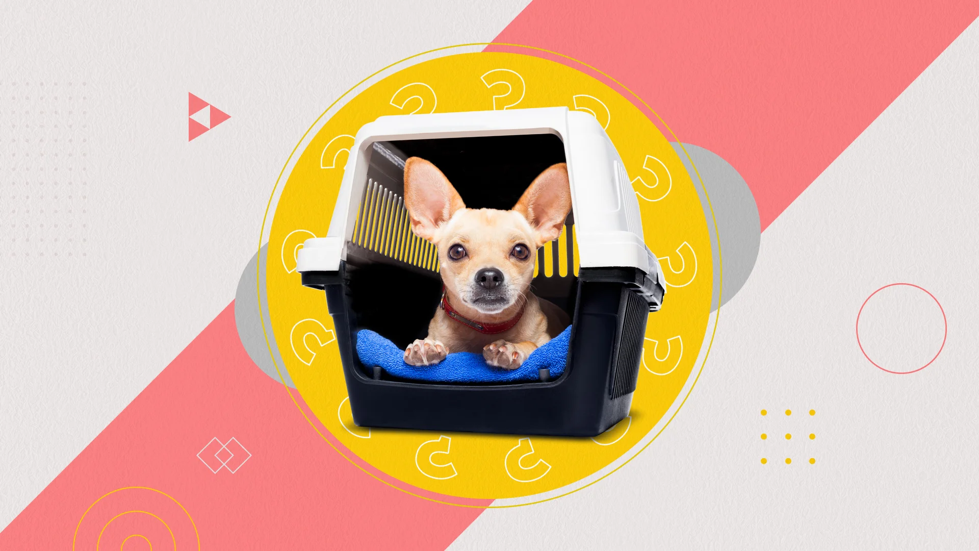 Превью статьи блога.