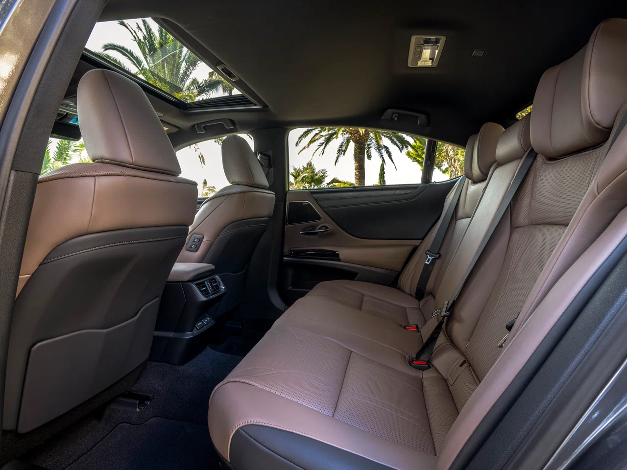 Кожа (Материал салона)