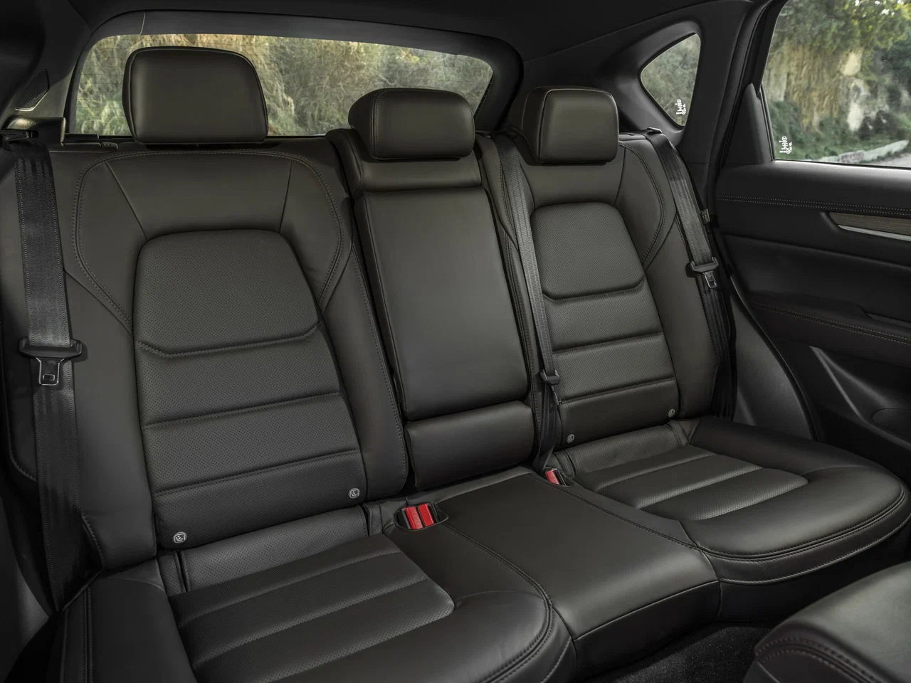 Третий задний подголовник