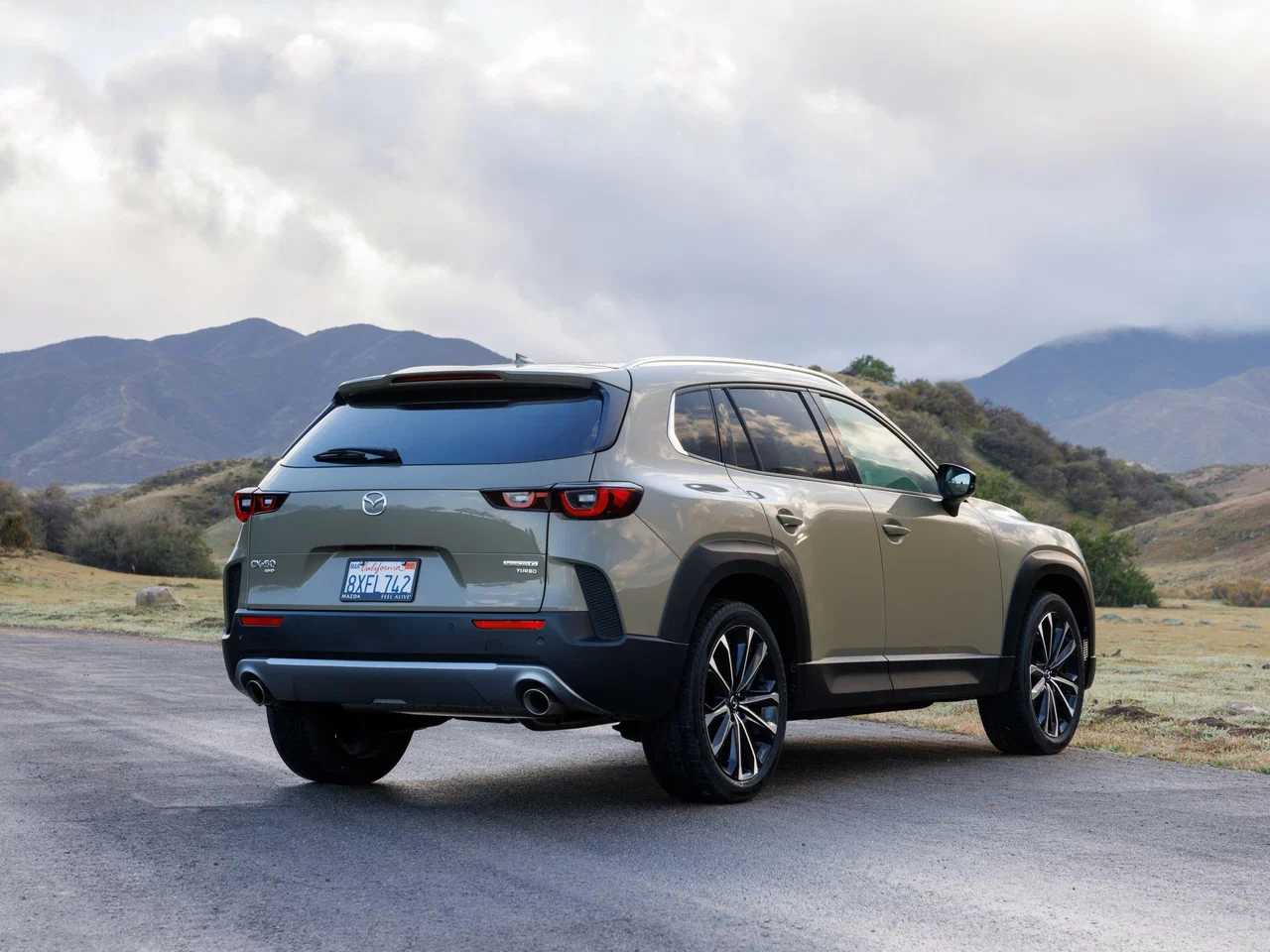 Парктроник задний