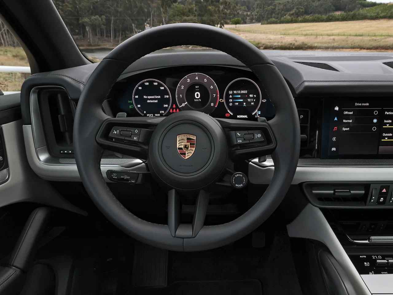 Мультифункциональное рулевое колесо