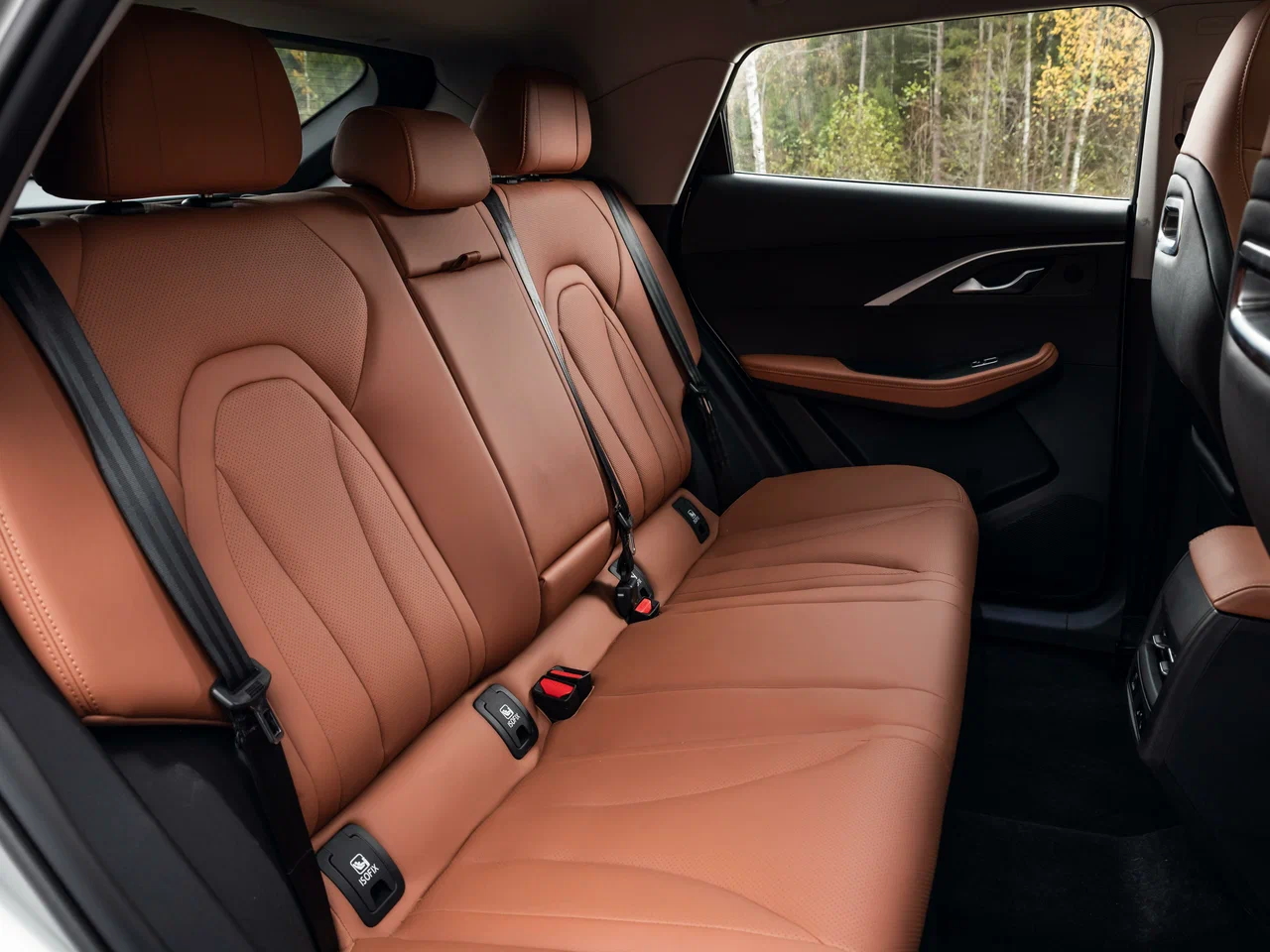 Кожа (материал салона)