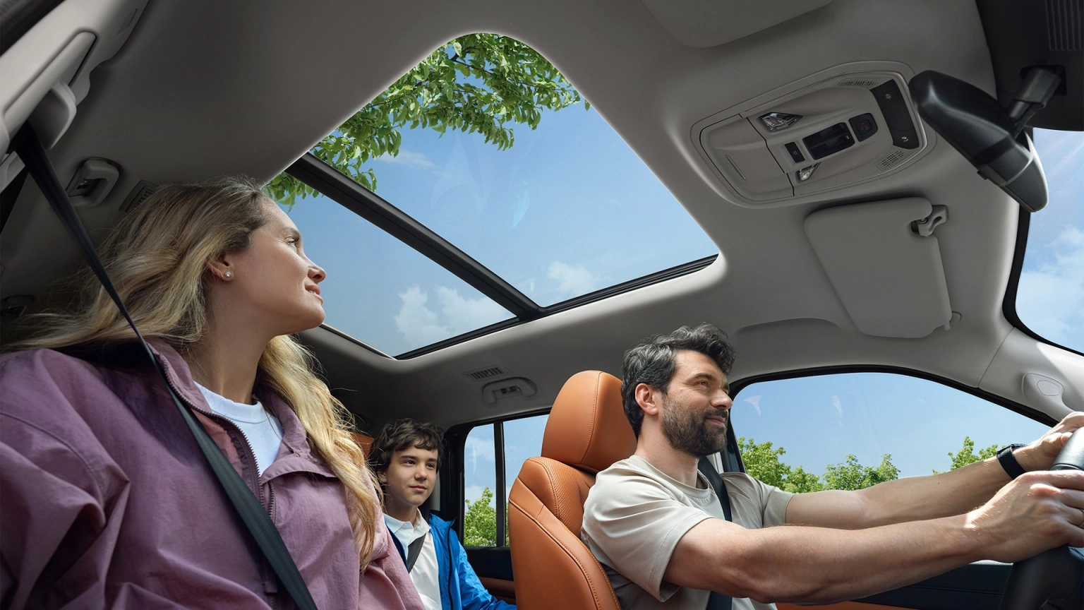 Панорамная крыша