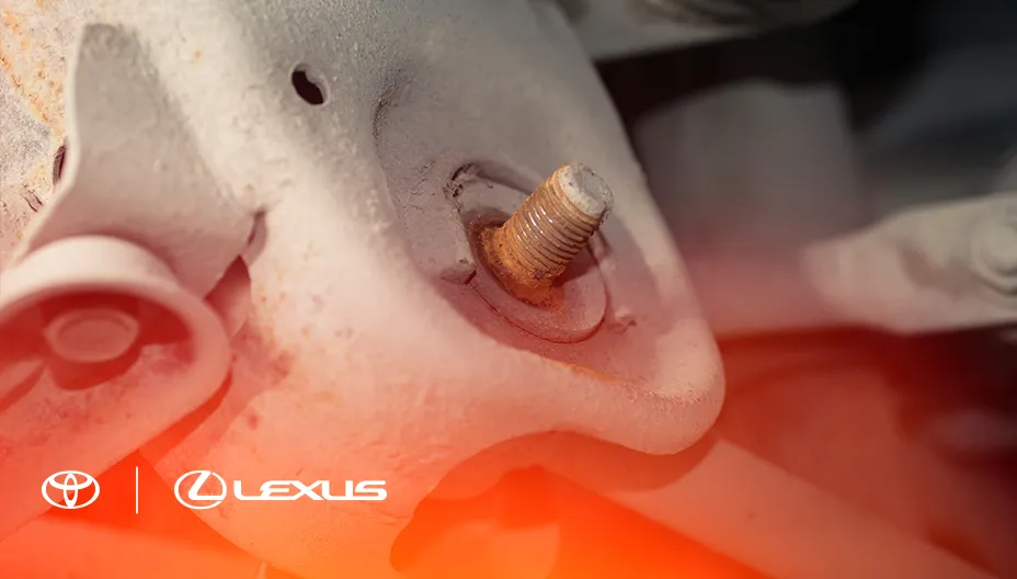 Картинка услуги.